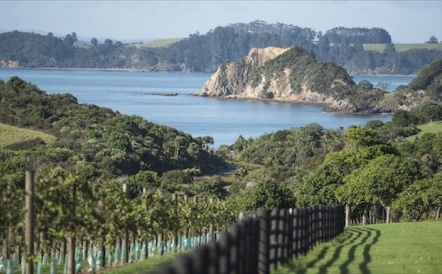 Northland wine region