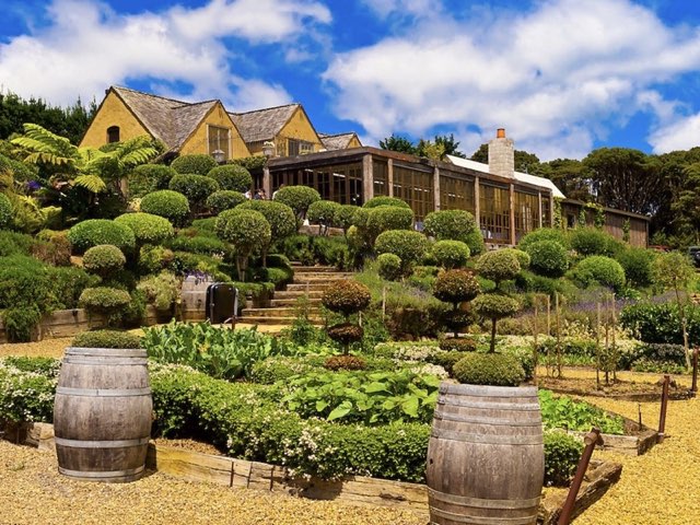 Waiheke Island wine region