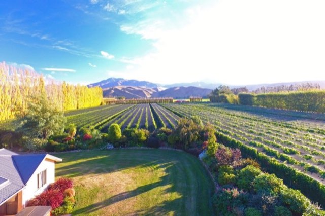 Waitaki Valley wine region