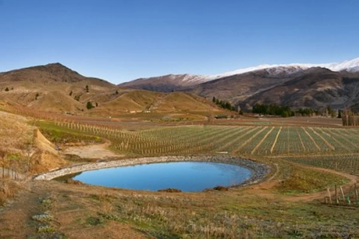 Domain Road vineyard landscape in Central Otago