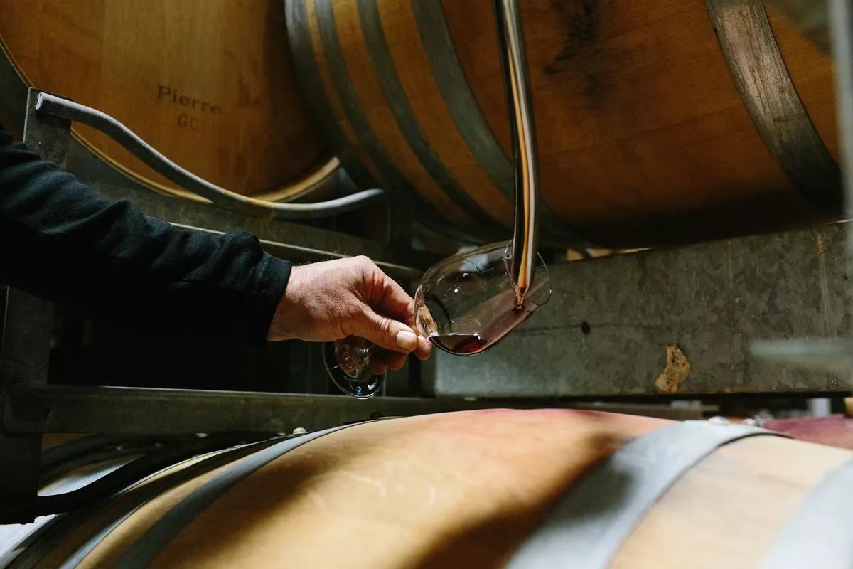 Wine being drawn from a barrel at Rimapere