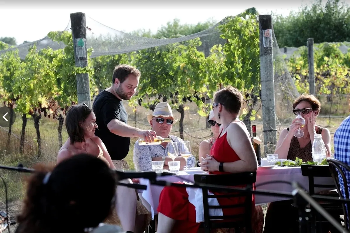 Guests dining among the vines at Stonecutter