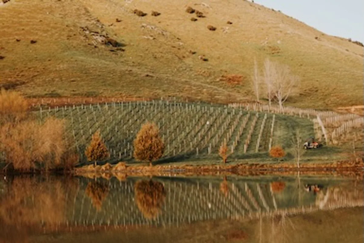 The Wrekin Vineyard beside a reflective pond