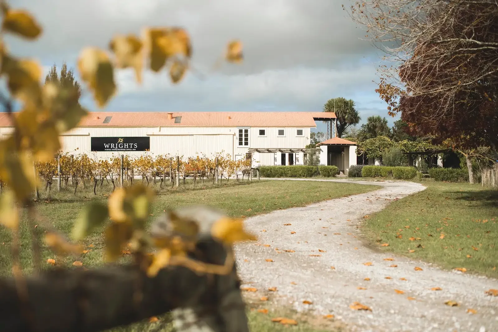 Wrights Vineyard & Winery building and vineyard entrance in Manutuke