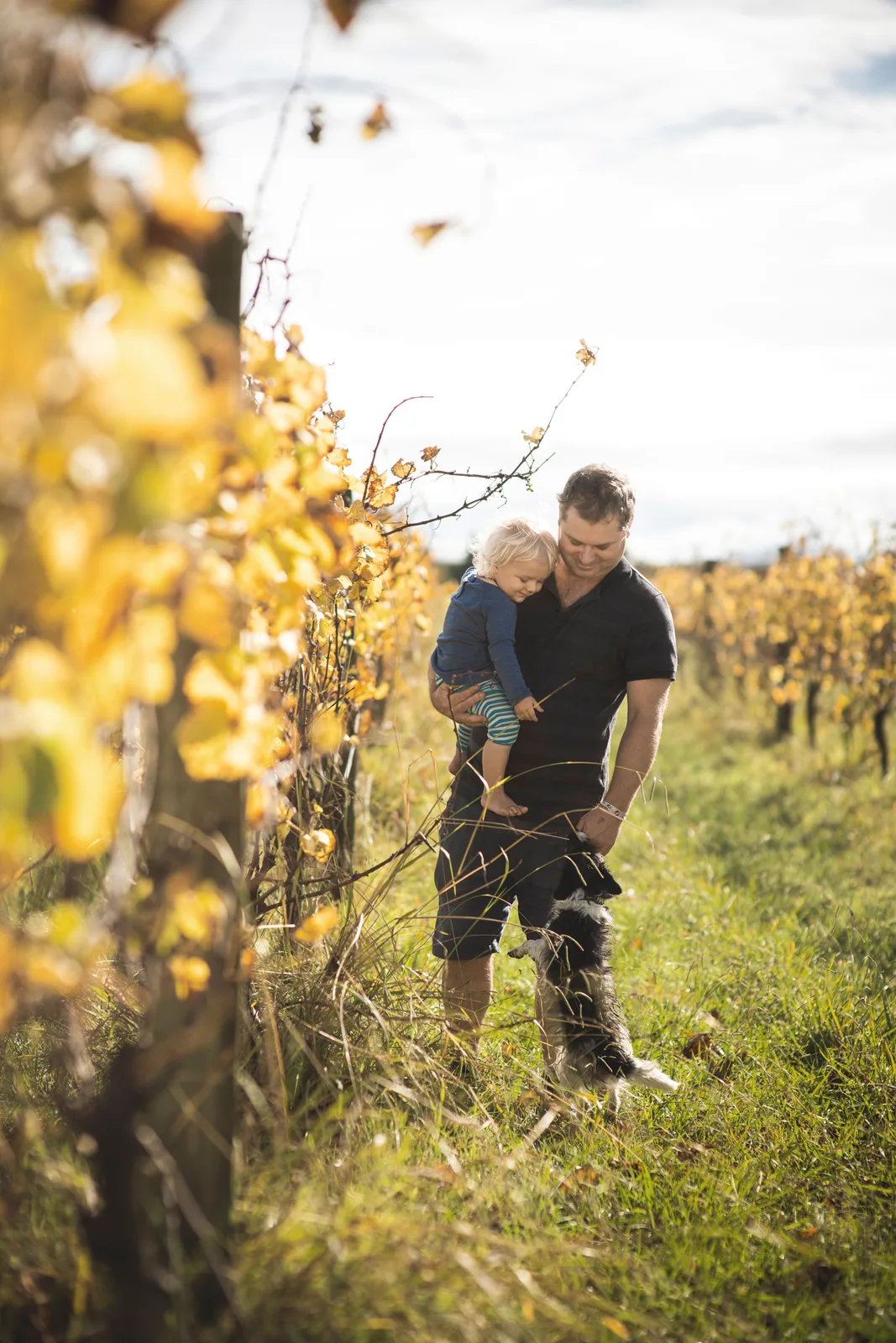 Working among the vines at Wrights Vineyard
